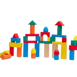 48 Piece Wooden Blocks Starter Bag